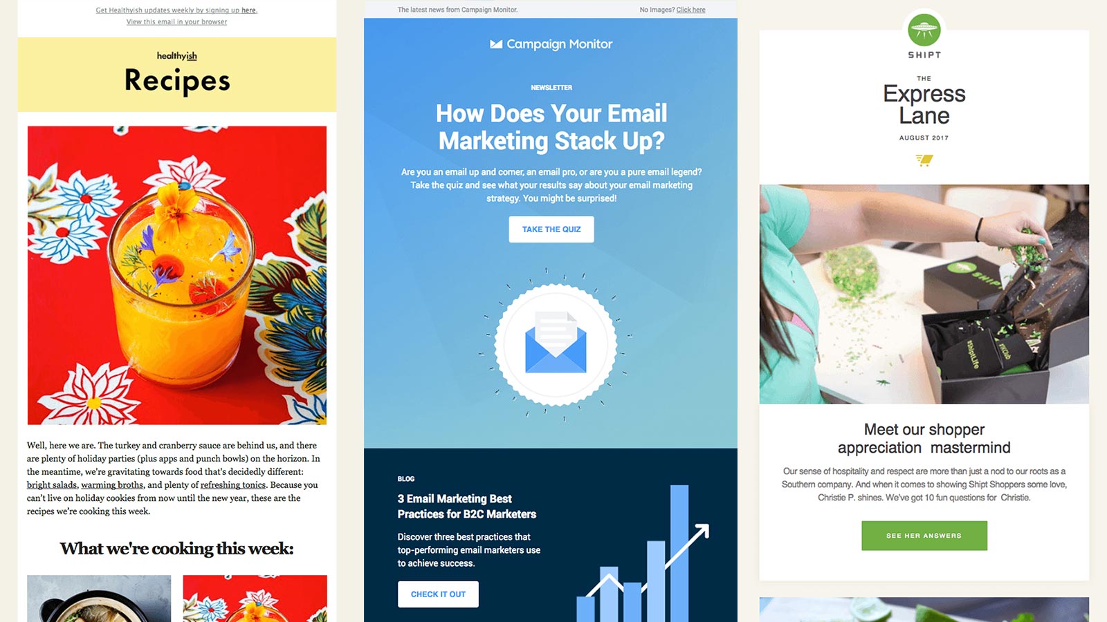 examples of newsletters made by mailstyler